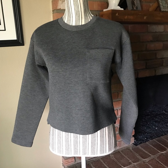 Everlane Sweaters - Everlane Charcoal Gray Cropped Boxy Sweater Sz XS